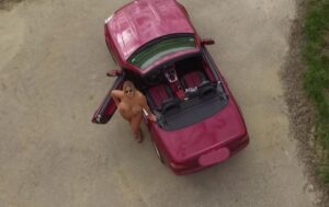 wieder Nackt im Cabrio unterwegs